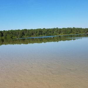 Meet your Posher, Blanca